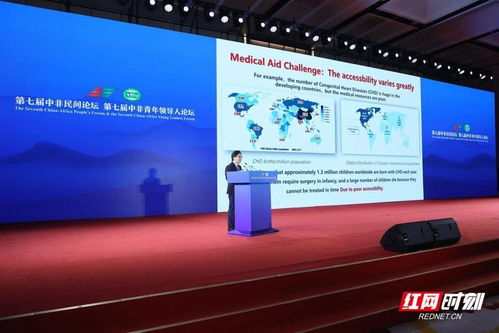中國企業(yè)與非洲大陸這樣牽手——中非經(jīng)貿(mào)合作與企業(yè)社會責任平行論壇側(cè)記